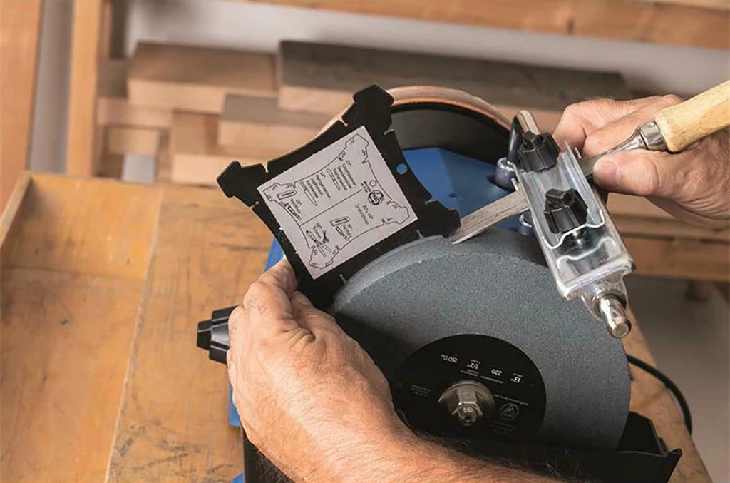 Scheppach Affûteuse 5903205901 Broyeur Humide Tiger 5000S 8". 2 Scheppach Affûteuse 5903205901 Broyeur Humide Tiger 5000S 8". – Image 2